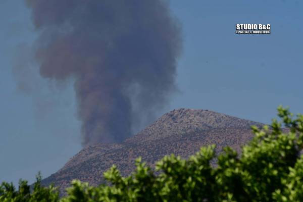 Φωτιά στην Αργολίδα - Εκκενώνεται προληπτικά ο αρχαιολογικός χώρος των Μυκηνών