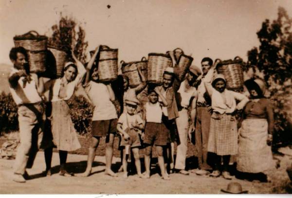 Τρύγος σε παλιές εποχές