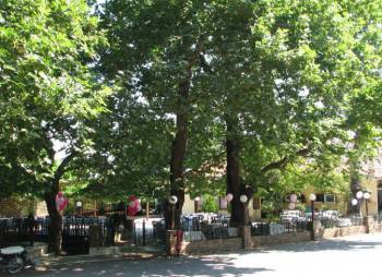 Διαγωνισμός για το Τουριστικό Αετού στην Τριφυλία