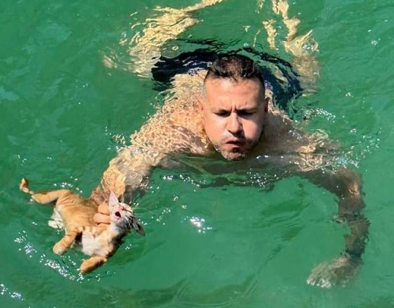 Σαλαμίνα: Μέλος πληρώματος ferry boat βούτηξε και έσωσε γατάκι που πνιγόταν (βίντεο)