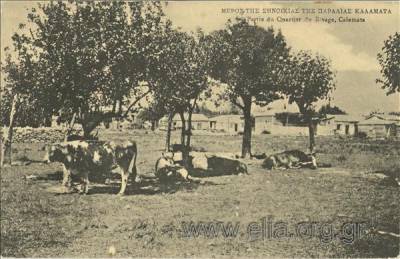 Αλλες εποχές