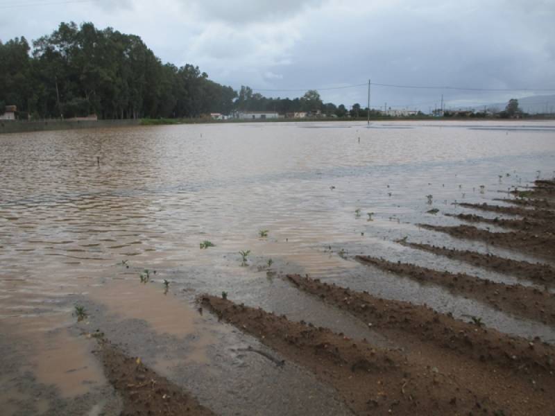 Πατατοχώραφα πλημμύρισαν στην Μπούκα της Μεσσήνης (βίντεο)