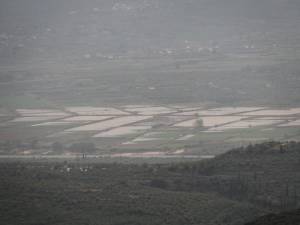 Βούλιαξαν χωράφια στον κάμπο - Μεγάλες ζημιές σε σπίτια σε Θουρία και Μικρομάνη (βίντεο και φωτογραφίες)