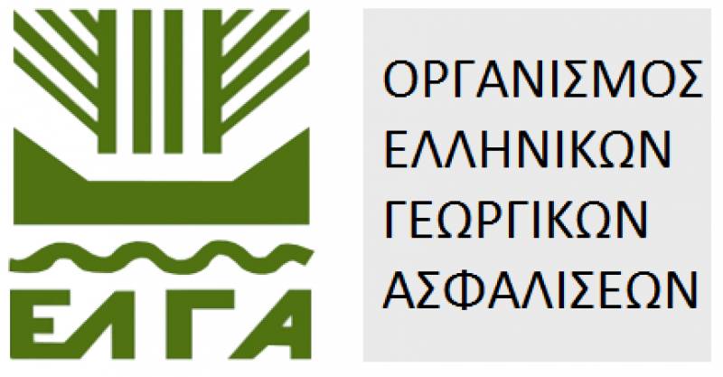 Δηλώσεις ζημιών στο Δήμο Οιχαλίας