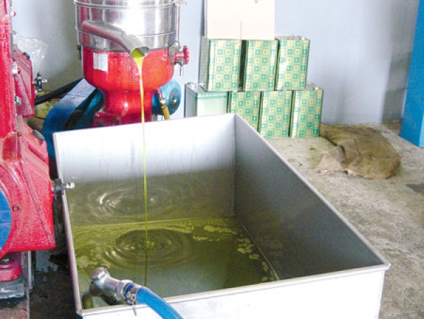 Σερραίοι ζητούν φθηνό λάδι από τη Μεσσηνία