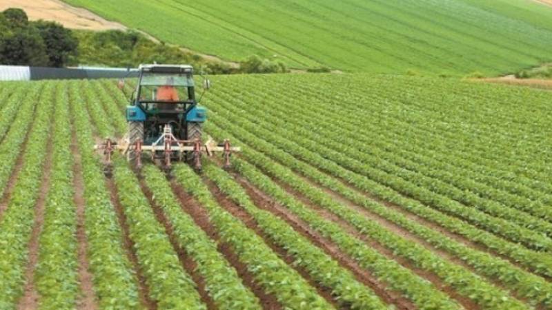 ΟΠΕΚΕΠΕ: Πληρώθηκαν 82.870 αγρότες για ενισχύσεις 46 εκατ. ευρώ
