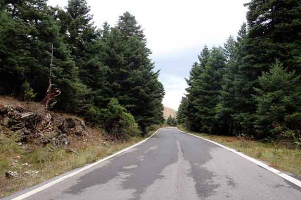 Αγωνιστική Πρωτοβουλία Λεβιδίου: "Ξανά σκουπίδια στο Μαίναλο"