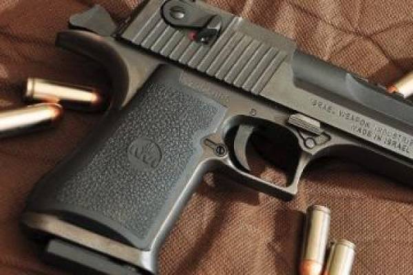 Δύο βουλευτές Μεσσηνίας με άδειες οπλοφορίας