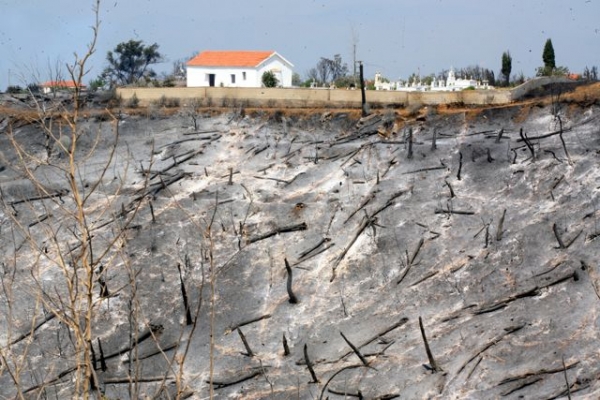Βίντεο από τη φωτιά στην Αρκαδία