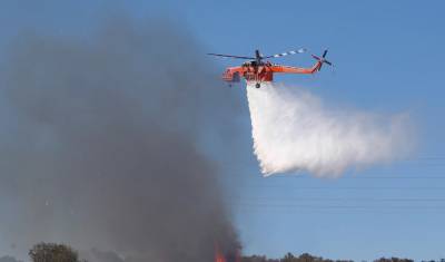 Αρκαδία: Πυρκαγιά σε δασική έκταση στην περιοχή Βούρβουρα