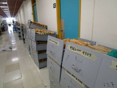 Γραφεία γεμάτα αρχεία