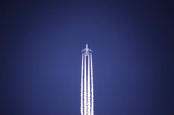 Επιβιώνουμε ανάμεσά τους