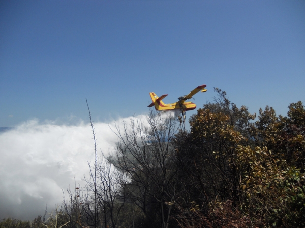 Υπό μερικό έλεγχο η φωτιά στα Πηγάδια