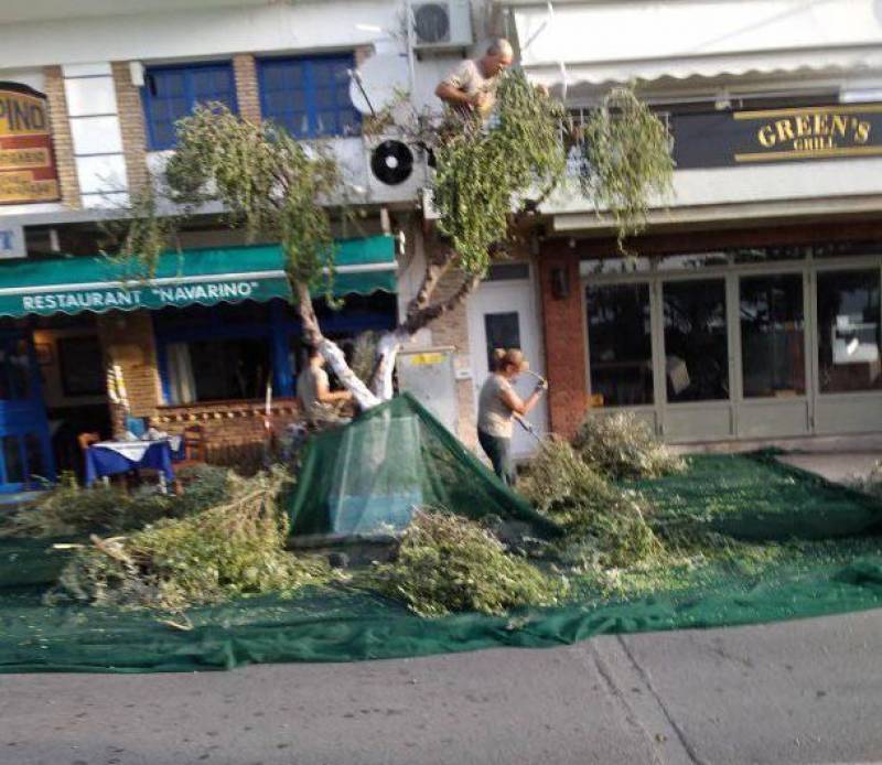 Ράβδισμα επί της Ναυαρίνου