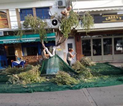 Ράβδισμα επί της Ναυαρίνου