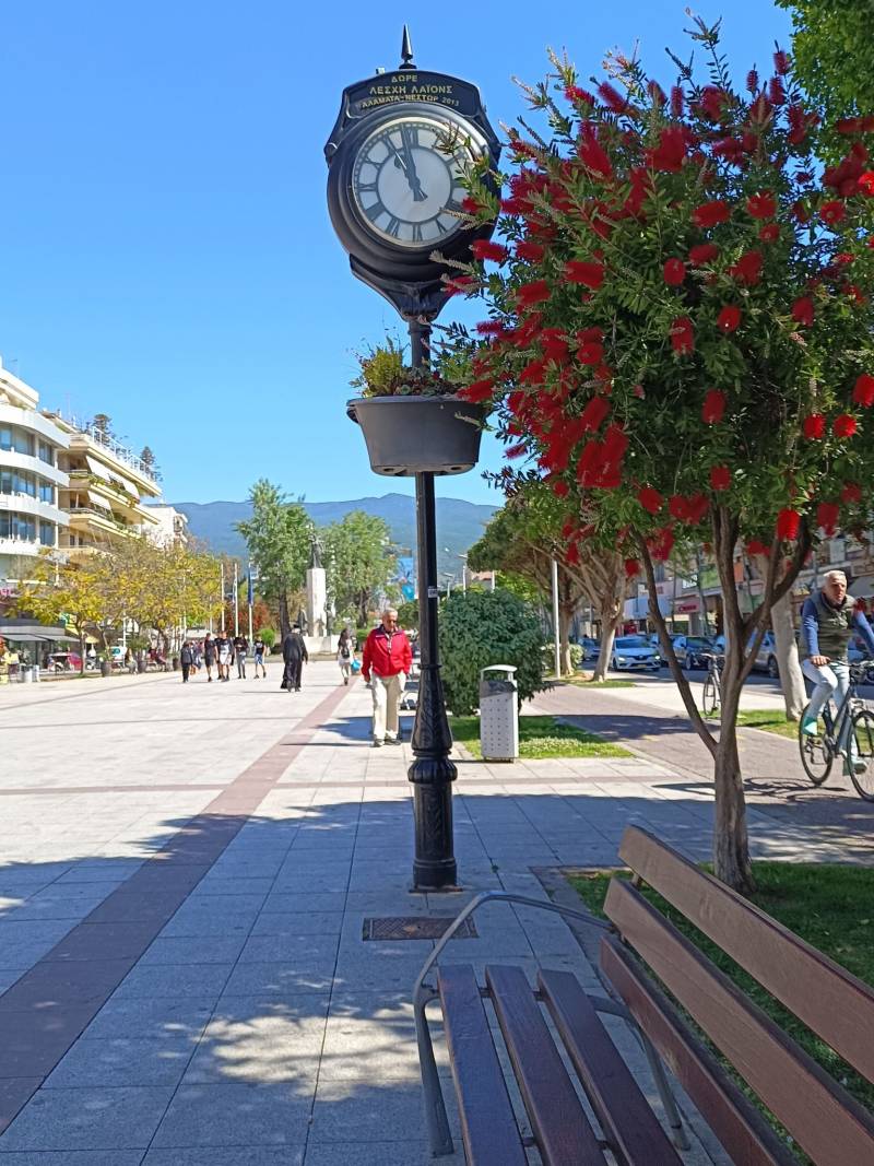 Ακόμη περισσότερες φυτεύσεις