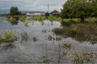 Πάνω από 210.000 στρέμματα κάτω από το νερό στον θεσσαλικό κάμπο