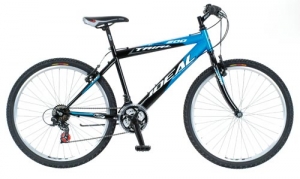 12χρονος έκλεψε ποδήλατο στη Σπάρτη