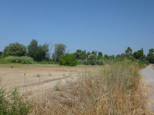 Γνωμοδότηση για το πεντάστερο "Grace" στη Βελίκα