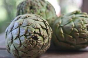 "Γιορτή Αγκινάρας" στη Μικρομάνη