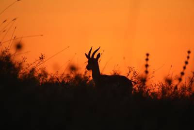 Αστρολογία – 27/12/2024