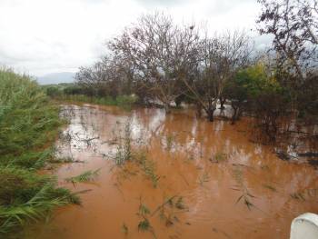 Νίκας: "Κωμωδία η ιστορία με το χαρακτηρισμό του Αρι"