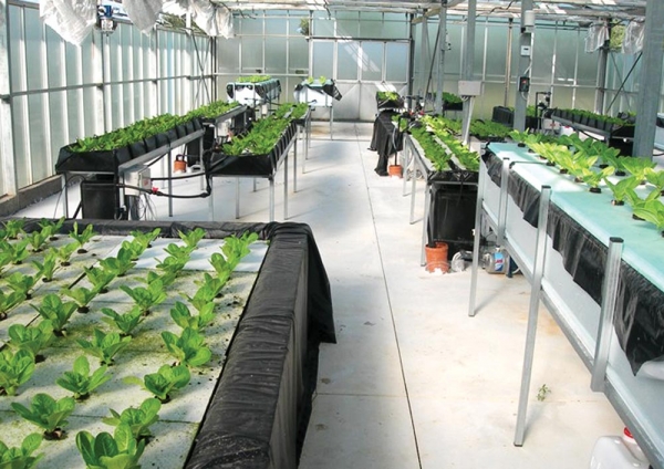 "Πέρασε" με υψηλή βαθμολογία την αξιολόγηση το τμήμα Βιολογικών Θερμοκηπιακών Καλλιεργειών και Ανθοκομίας