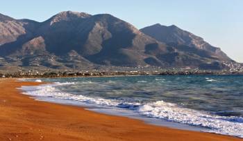 Βανδαλισμούς σε εξοπλισμό και φωλιές καρέτα-καρέτα καταγγέλει ο "ΑΡΧΕΛΩΝ"