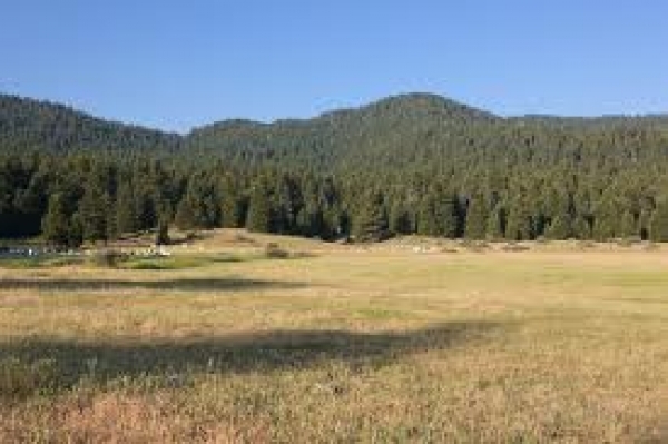 Τατούλης: "Οχι οριζόντιες απαγορεύσεις στο Μαίναλο"