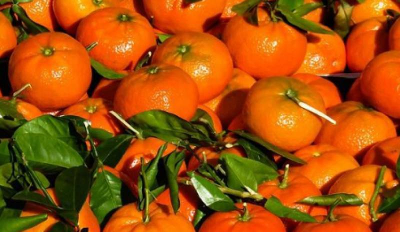 Στις 3 Μαρτίου η «2η Γιορτή Μανταρινιού» στο Δρέπανο