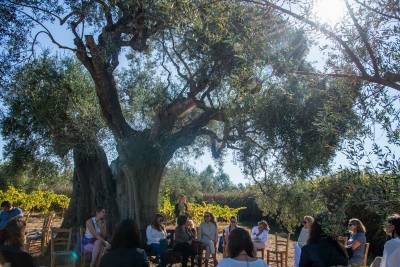 Διεθνής συνάντηση στην Costa Navarino: Η σχέση της δημοκρατίας με την πνευματικότητα