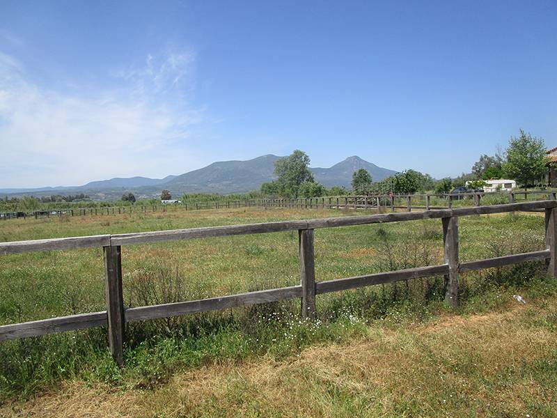 Μεσσηνία: Εγκαταλελειμμένο το Ιππικό Κέντρο στο Πλατύ