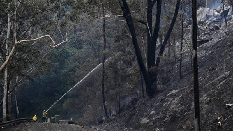Πυρκαγιές στην Αυστραλία - Πυροσβέστης σκοτώθηκε από πτώση δέντρου