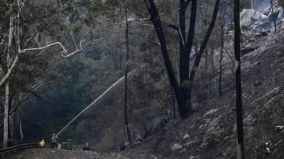Πυρκαγιές στην Αυστραλία - Πυροσβέστης σκοτώθηκε από πτώση δέντρου