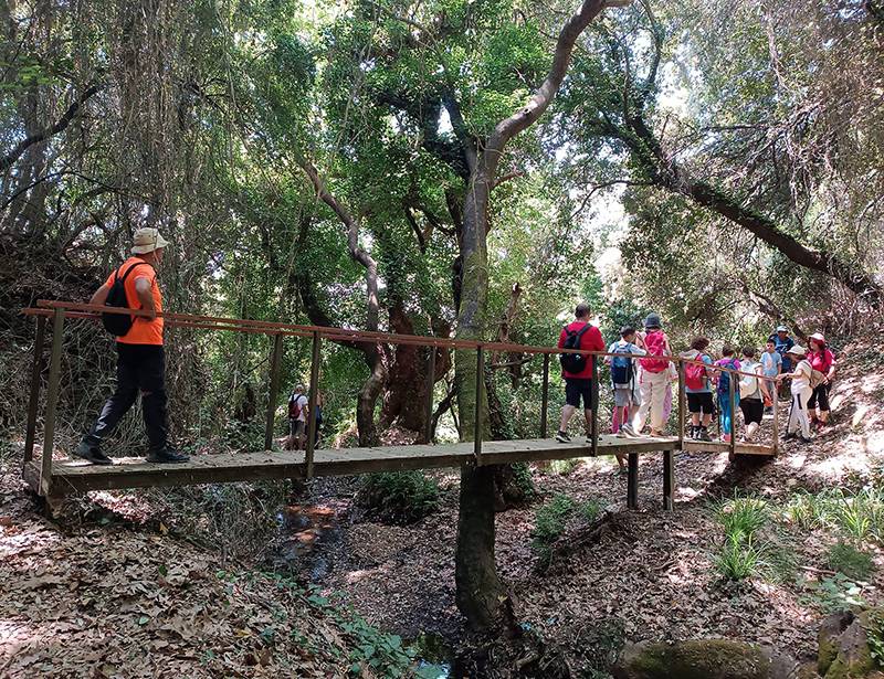 Μεγάλη συμμετοχή στην ξενάγηση στα Μεσογειακά Μονοπάτια Μηναγίων