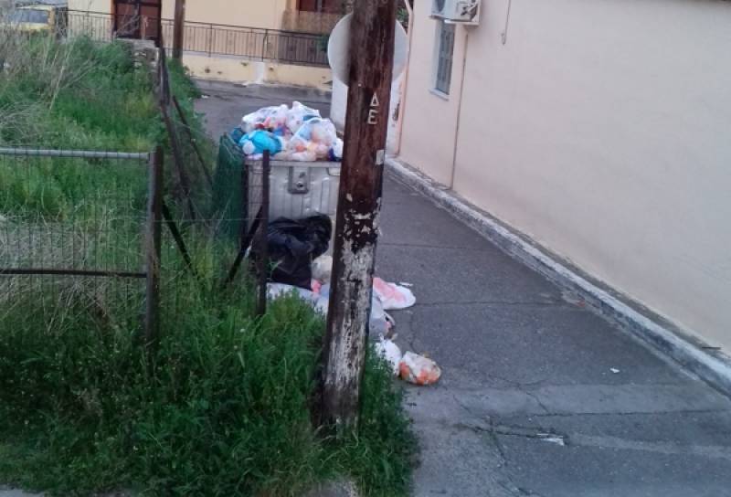 Οι κάδοι στη Ράχη