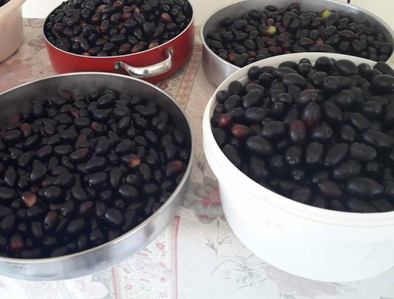 Αραχωβίτης για ασφάλιστρα ΕΛΓΑ