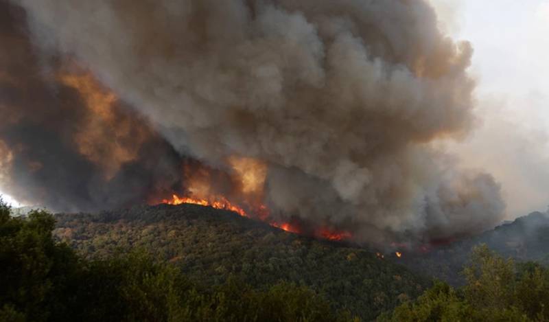 Ενισχύεται η ένταση και η έκταση του πύρινου μετώπου στον Έβρο
