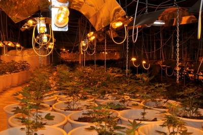 Η μεγαλύτερη υδροπονική χασισοφυτεία στην Ελλάδα βρέθηκε στο Ναύπλιο (βίντεο και φωτογραφίες)