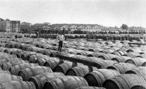 Μια παλιά βιομηχανία της Μεσσηνίας