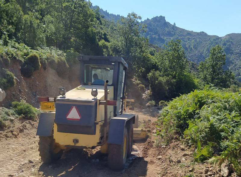 Η Μπούζα για δρόμο Μηλέα - Παναγία Γιάτρισσα