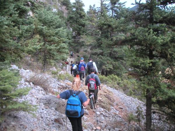 Εξόρμηση στο Μαίναλο