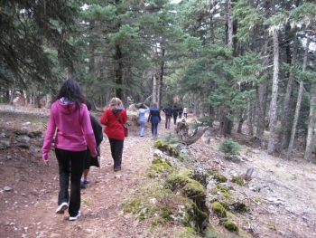 Φθινοπωρινή εμπειρία στην αγκαλιά του Χελμού