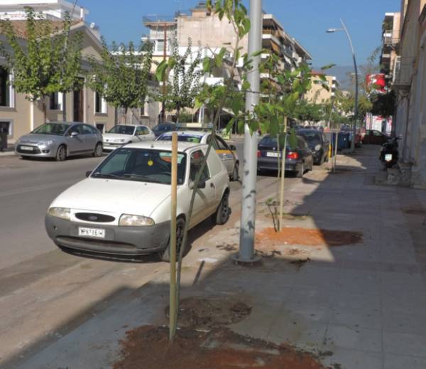 Φυτεύσεις δέντρων σε δρόμους της Καλαμάτας