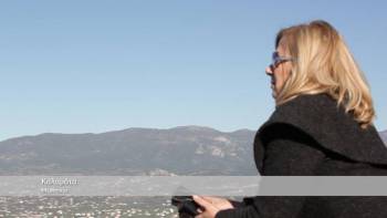 Ελλήνων γεύσεις από την Καλαμάτα