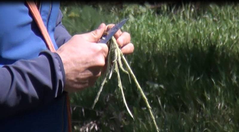 Ενημέρωση στον Αγροτικό Συνεταιρισμό Καλαμάτας για βιολογικές καλλιέργειες