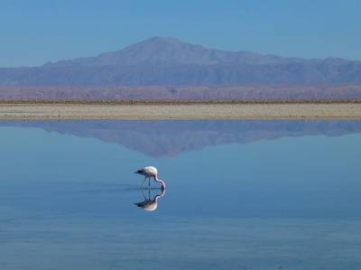 Αστρολογία – 30/11/2024