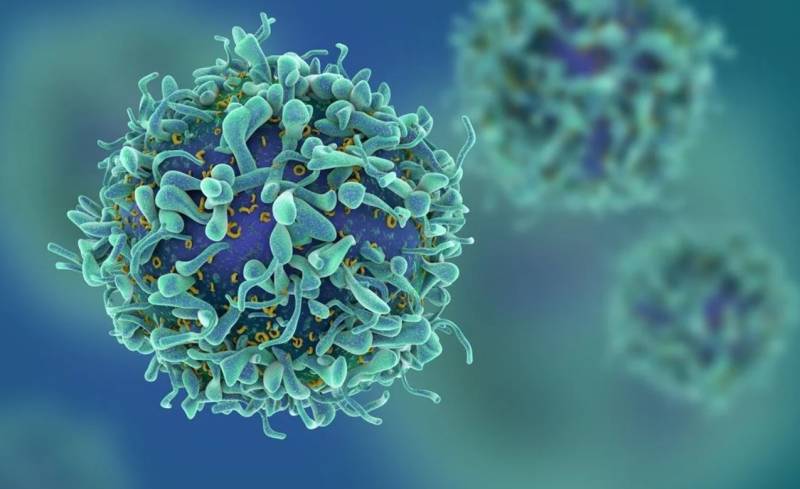 Η τεχνητή νοημοσύνη προβλέπει την ανταπόκριση του οργανισμού στη θεραπεία κατά του καρκίνου