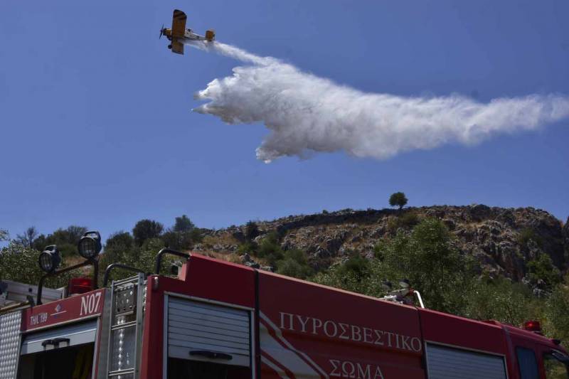 5 στρέμματα έκαψε η πυρκαγιά στον Ακοβο Μεγαλόπολης