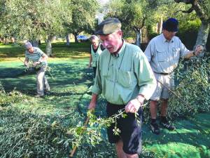 Λιομάζωμα και αγροτουρισμός